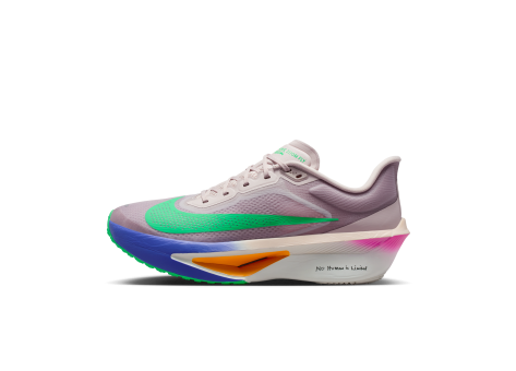Nike Zoom Fly 6 Eliud Kipchoge (HJ7038-600) grau