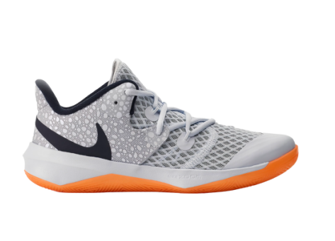 Nike Zoom Hyperspeed Court SE (DJ4476-900) grau