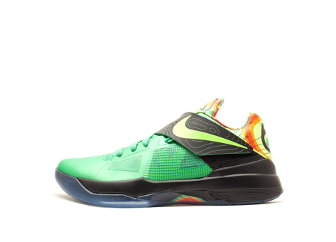 Nike Zoom KD Weatherman 4 (473679-303) bunt