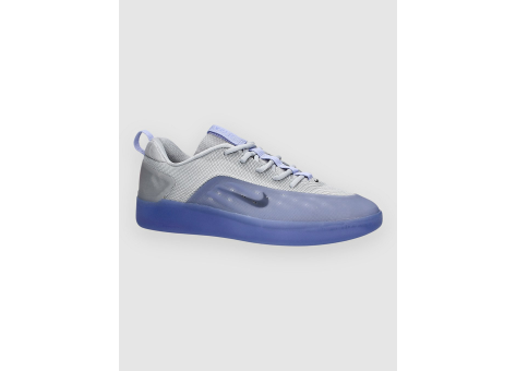 Nike Zoom Nyjah 4 (FQ1273-500) bunt