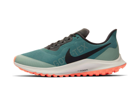 Nike Zoom Pegasus 36 Trail Gore Tex Bicoastal GTX (BV7763-300) türkis
