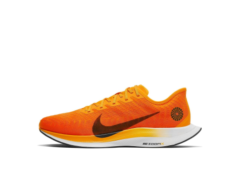 Nike Zoom Pegasus Turbo 2 Blue Ribbon Sports (CK9661 800) orange