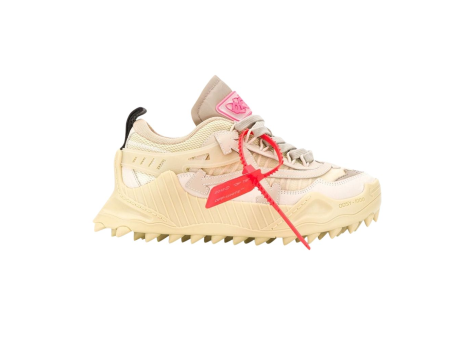 Off-White ODSY 1000 Beige (OWIA180E20FAB0016109) grau