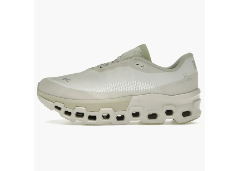 ON Post Archive Faction Cloudmonster 2 Moondust womens (3WE10351954) beige