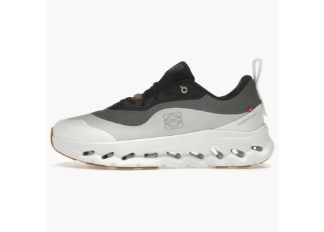 ON Running Cloudtilt 2 Loewe womens (3WE10873509) bunt