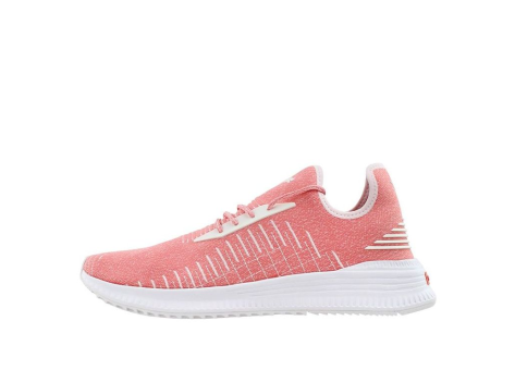PUMA Avid Evoknit Low Top (365392-06) pink