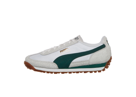 PUMA Easy Rider Nylon (399661-01) bunt