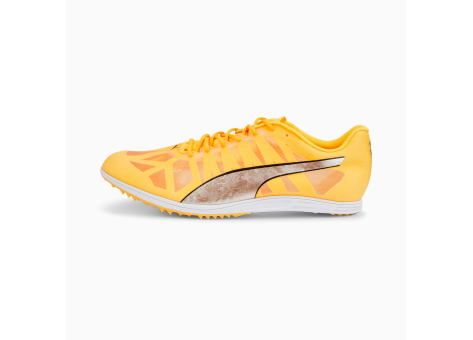 PUMA evoSPEED Distance 10 (377381_01) orange