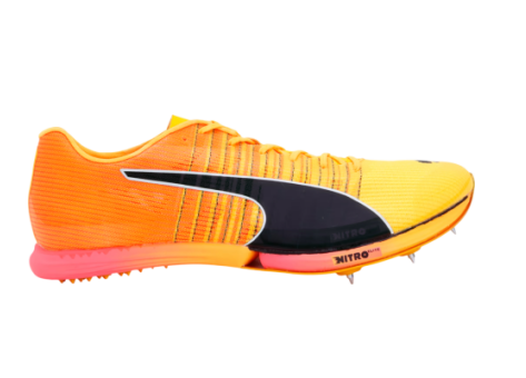 PUMA evoSPEED Forte Nitro Elite (310329-02) bunt