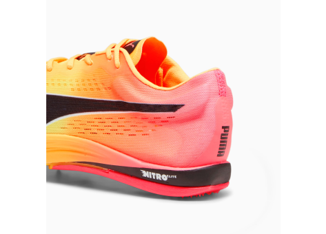 【新品】Puma EVOSPEED LONG DISTANCE NITRO PUMA evoSPEED Long Distance Nitro Elite bunt 378222_03