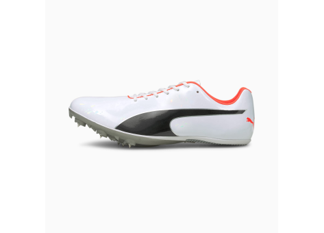 PUMA evoSPEED Sprint 10 (193452_03) weiss