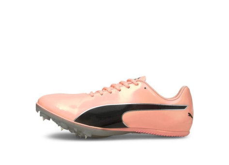 PUMA evoSPEED Sprint 10 (193452/004) pink