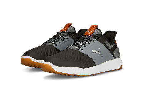 PUMA Ignite Elevate (376077-007) bunt