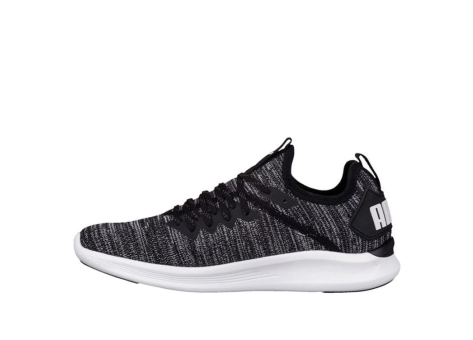 PUMA Ignite Flash Evoknit Low Running (190511-01) bunt