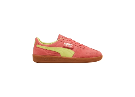 PUMA Palermo (396463/022) pink