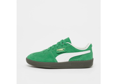 PUMA Palermo (397271-30) grün