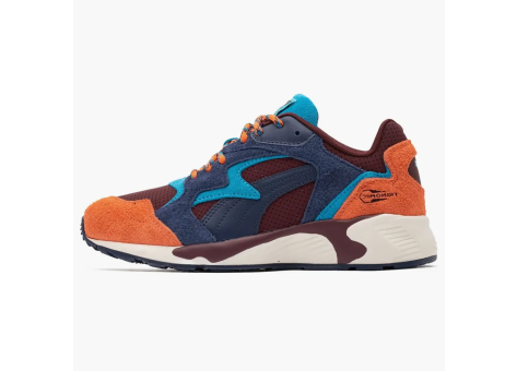 PUMA Prevail June Keeping Score Ambrose (390665 01) bunt