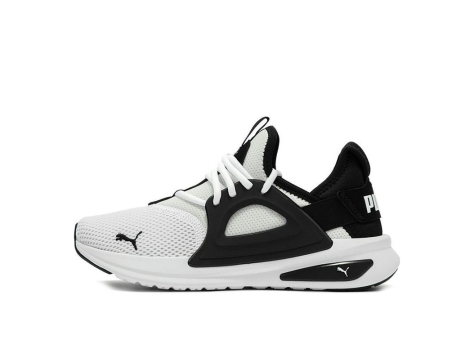 PUMA Softride Enzo Evo (377048-08) bunt