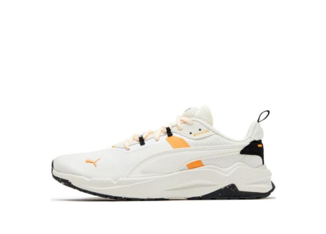PUMA Stride Open Road (389424-01) weiss