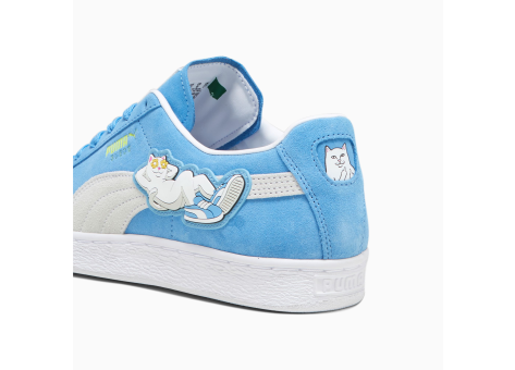 Ripndip converse on sale