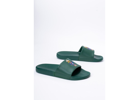 Ralph Lauren Pantoletten Polo Ralph Lauren Slide (809878092002) grün