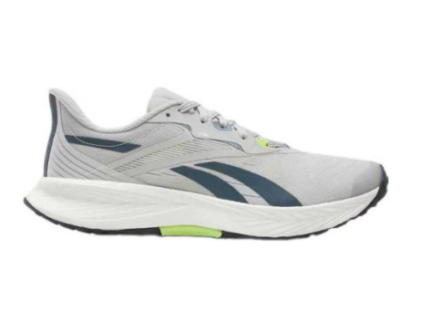 Reebok Floatride Energy 5 (100033386) grau