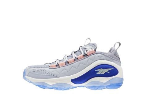 Reebok Dmx Run 10 Non Slip Wear resistant Sports Gray Blue CN5386 (CN5386) grau