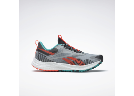 Reebok Floatride Energy 4 Adventure (GX4799) grau