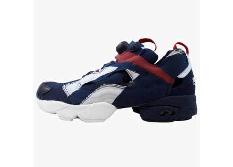 Reebok InstaPump Fury (AR3197) bunt