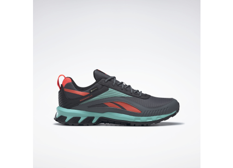 Reebok Ridgerider 6 Gore Tex (GX2245) grau