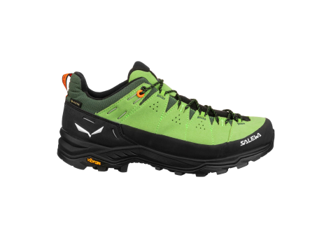 Salewa Alp Trainer 2 GTX (00-0000061400-5660) grün