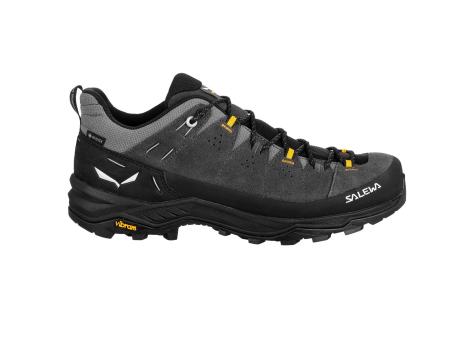 Salewa Alp Trainer 2 GTX (61400-0876) schwarz