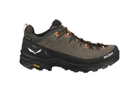 Salewa Alp Trainer 2 GTX (61400-7953) braun