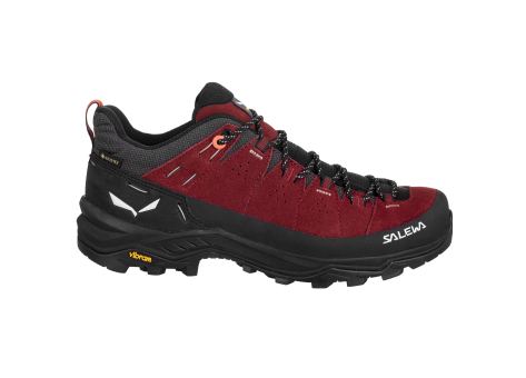 Salewa Alp Trainer 2 GTX (61401-1575) bunt