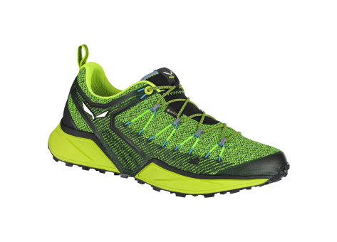 Salewa Dropline GTX Grö e 42 (00-0000061366-0953) grün