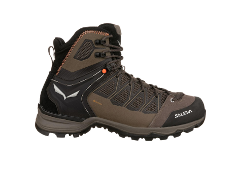 Salewa Mountain Trainer Lite Mid GTX MTN (61359-7953) braun