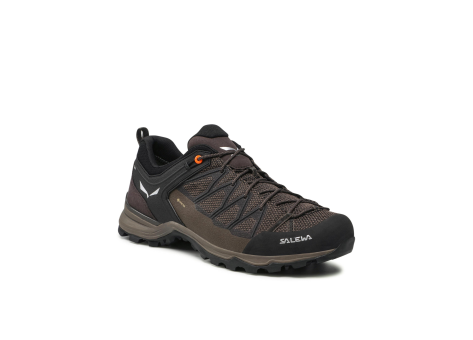 Salewa Mountain Trainer Lite GORE TEX (61361-7512) braun