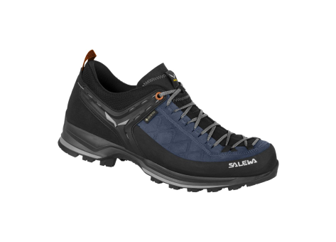 Salewa MS MTN Trainer 2 GTX (00-0000061356-2490) schwarz