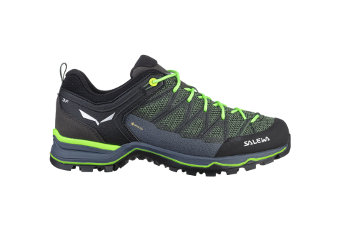 Salewa MTN Trainer Lite GTX (61361 5945) grün