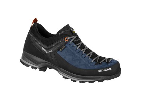 Salewa MTN Trainer 2 GTX blau 61356 2490 Preisvergleich