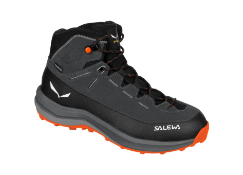 Salewa MTN Trainer 2 MID PTX (64011-0878) bunt