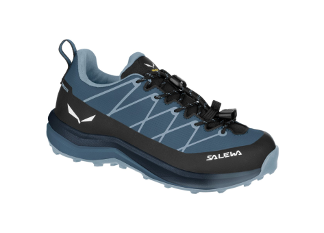 Salewa Wildfire 2 PTX (64012-8767) blau