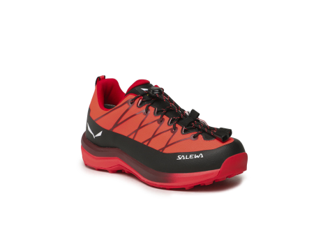 Salewa Wildfire 2 PTX (64012-6083) rot