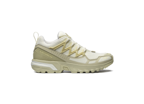 Salomon ACS Seasonal (L47568900) grün