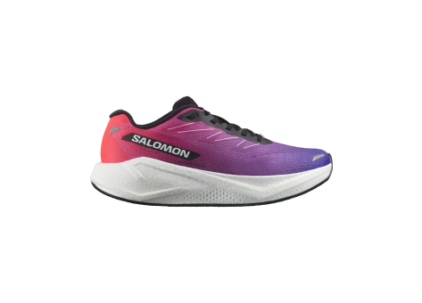 Salomon Aero Blaze 3 Gradient W (L47876100) bunt