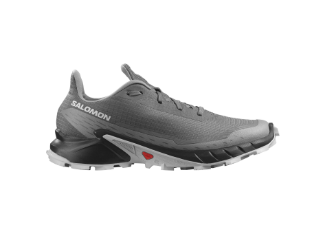 Salomon Alphacross 5 (L47313300) bunt