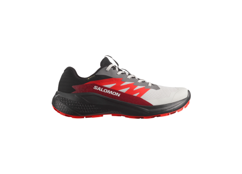 Salomon Alphaglide GTX Grö e (L47802200) bunt