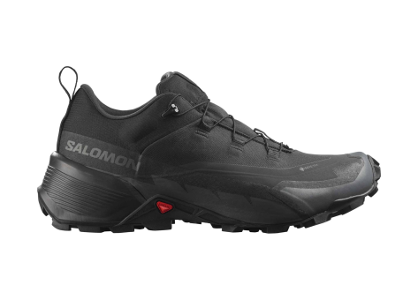 Salomon Cross Hike GTX 2 (L41730100) schwarz