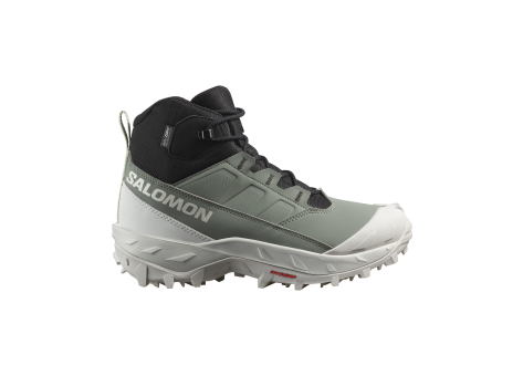 Salomon Crosstrak Waterproof (L47570400) grün