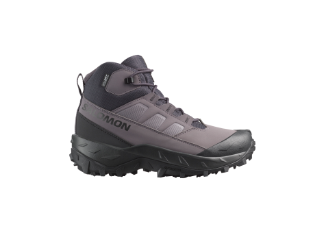 Salomon Crosstrak Wp (L47862100) grau
